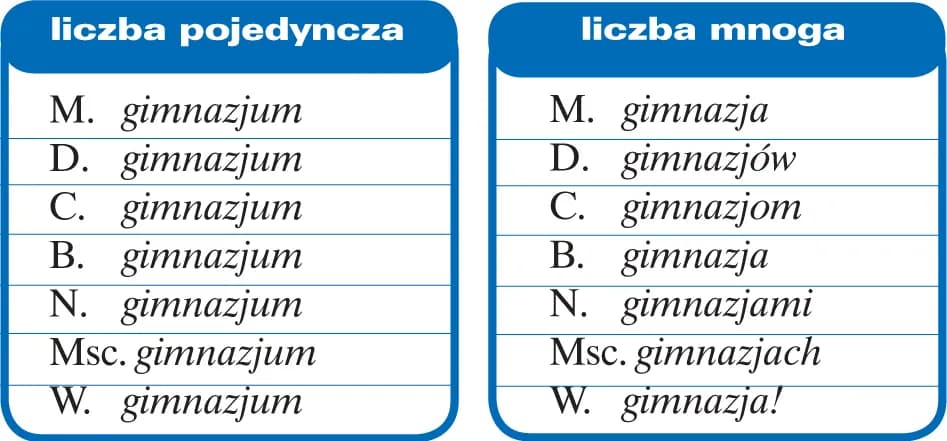 Spodnie jaka to liczba? Odkryj, dlaczego to liczba mnoga Spodnie jaka to liczba? Odkryj, dlaczego to liczba mnoga