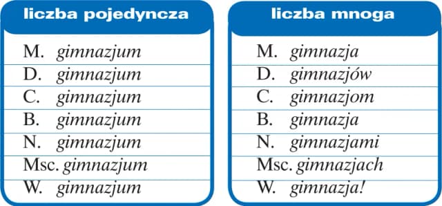 Spodnie jaka to liczba? Odkryj, dlaczego to liczba mnoga Spodnie jaka to liczba? Odkryj, dlaczego to liczba mnoga